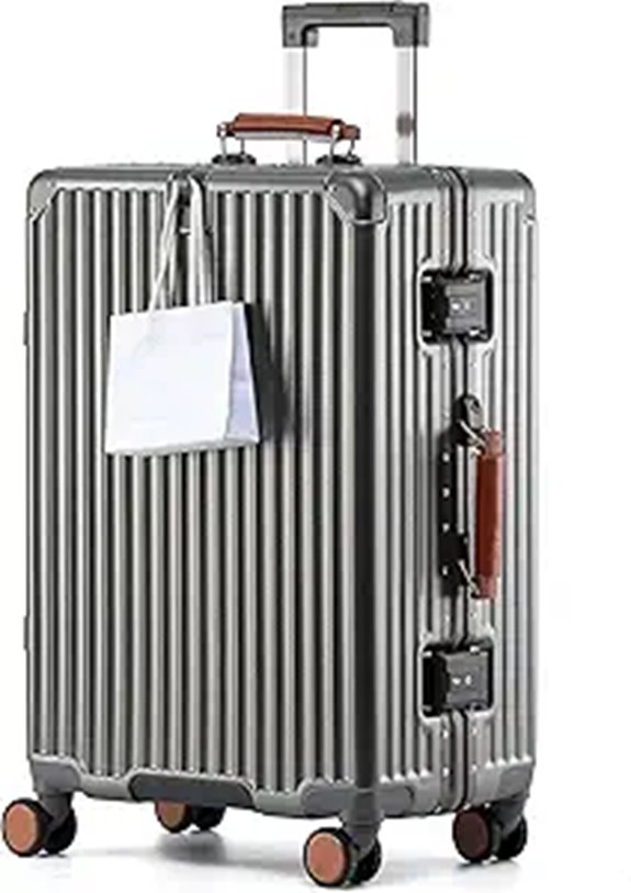 20-Inch Spinner Carry-On Luggage with TSA Locks