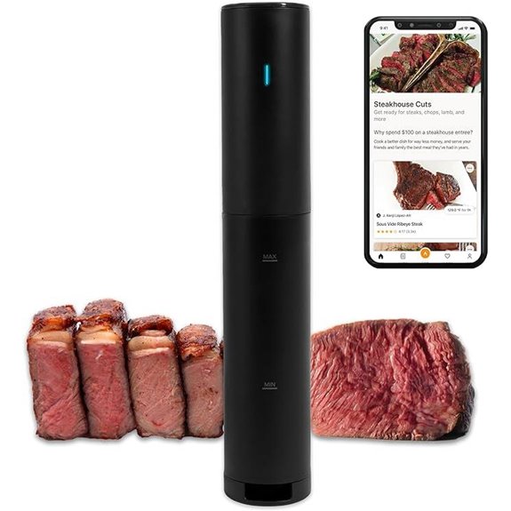 Anova Mini Sous Vide Cooker 850W App Enabled