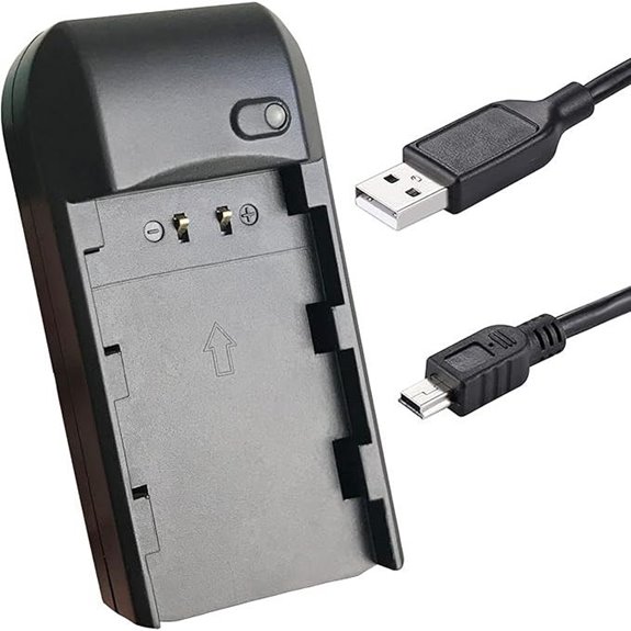 Camcorder NP-FV5 Battery Charger for NP-FV5 Batteries