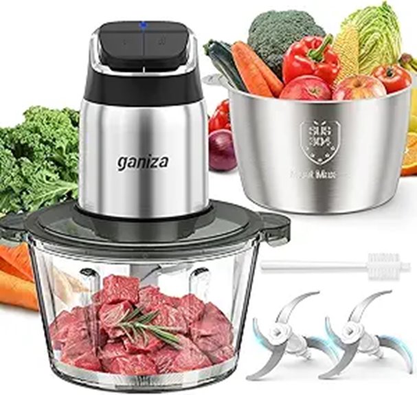 Ganiza Food Processor with Blades and Safety Features