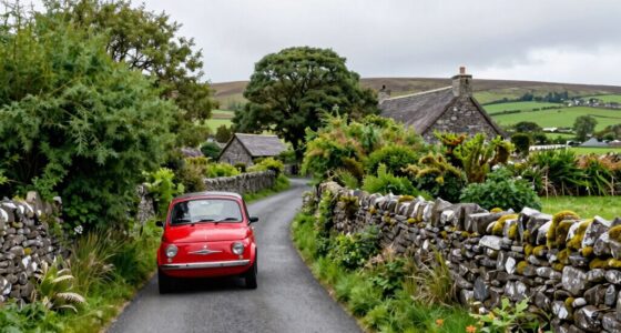 left side driving tips