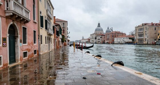 post carnival venice tranquility