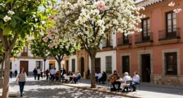 seville s march orange blossoms
