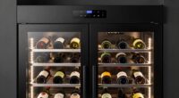 top dual zone wine refrigerators