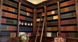 top european library style bookshelves