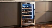 top wine fridges 2026