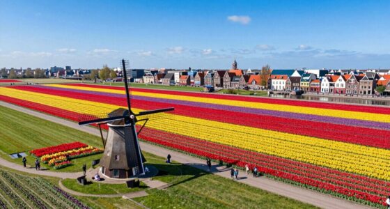 tulip viewing logistics planning