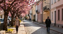 versatile packing for europe