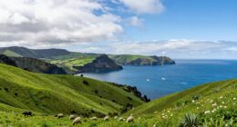 azores travel essentials guide