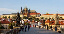 guide for first time visitors