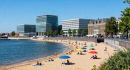 hague beaches art politics