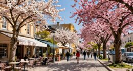 spring travel advantages