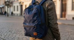 10 Best Laptop Backpack for Europe Travel in 2026