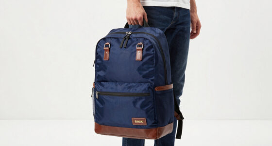 10 Best Premium Travel Backpack for Europe in 2026