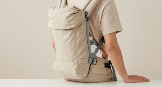 5 Best Baby Carriers for Europe Travel in 2026