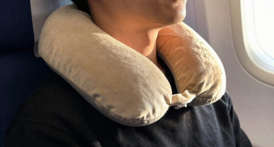 8 Best High End Travel Pillow for Flights in 2026