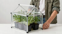 9 Best Greenhouse Kit For Mediterranean Herbs In 2026