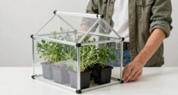9 Best Greenhouse Kit For Mediterranean Herbs In 2026