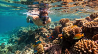 Great Barrier Reef, Queensland, Australia Surges In Global Coverage