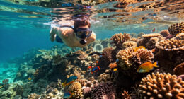 Great Barrier Reef, Queensland, Australia Surges In Global Coverage