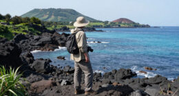 Jeju, Cheju-Do, South Korea Surges In Global Coverage