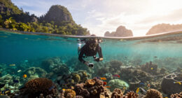 Raja Ampat Surges In Global Coverage
